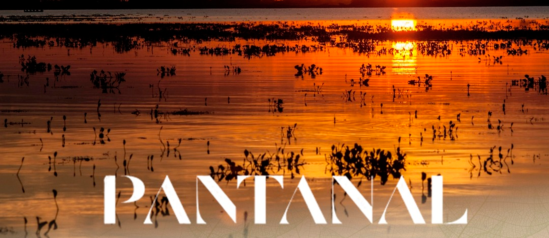 Novela Pantanal - Ensinamentos para o Marketing